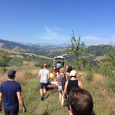 Terre Vineate Porchia