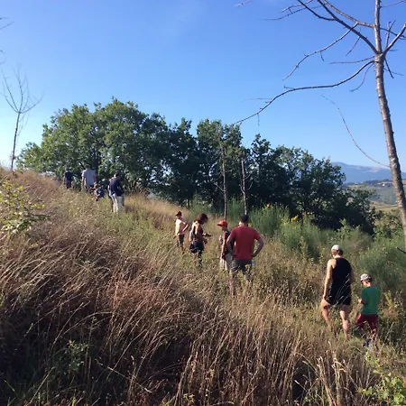 Hotel Terre Vineate *