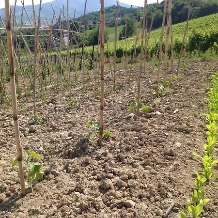 Hotel Terre Vineate *