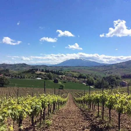 Hotel Terre Vineate
