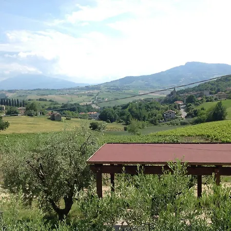 Terre Vineate *