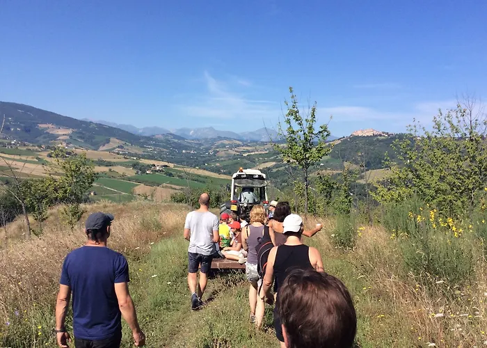 Terre Vineate Porchia