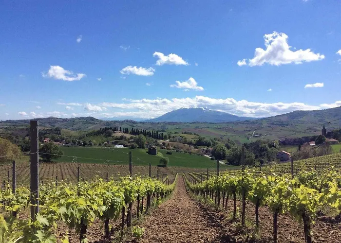 Hotell Terre Vineate